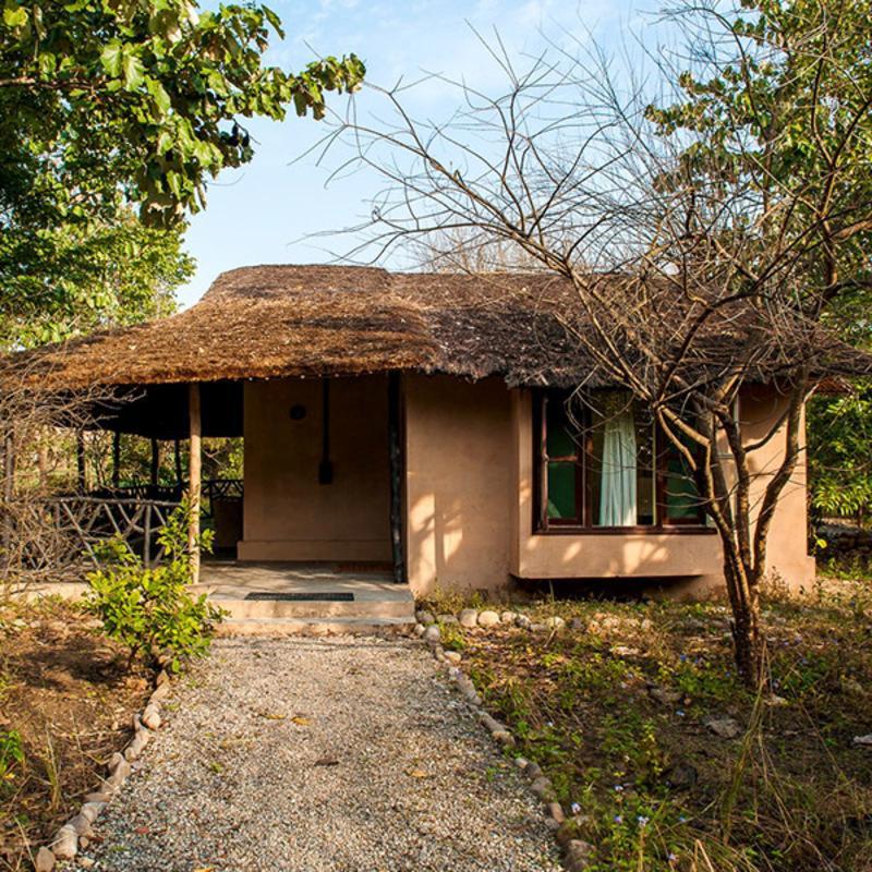 فندق Jim'S Jungle Retreat رامناجار المظهر الخارجي الصورة