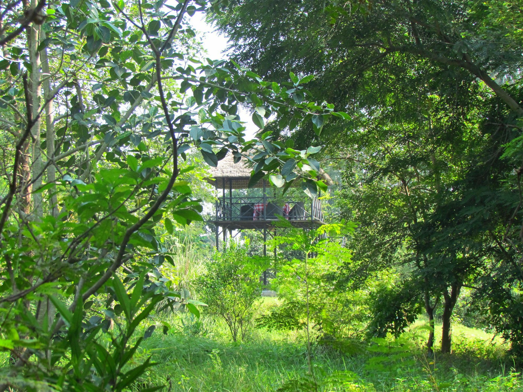 فندق Jim'S Jungle Retreat رامناجار المظهر الخارجي الصورة